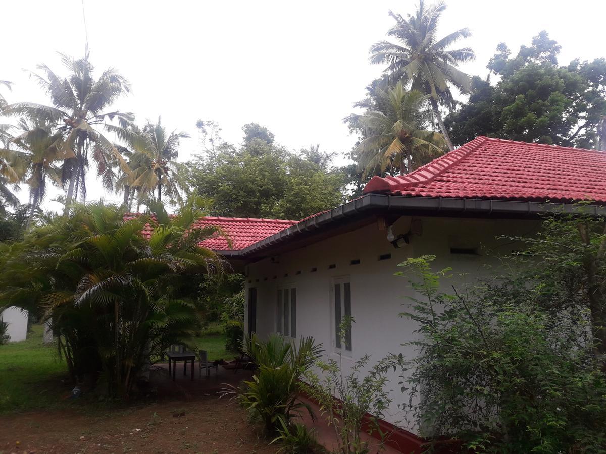 International Meditation Center Hotel Mirissa Exterior photo